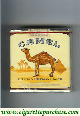 Camel Turkish American Blend cigarettes 25 soft box